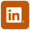 LinkedIn link icon
